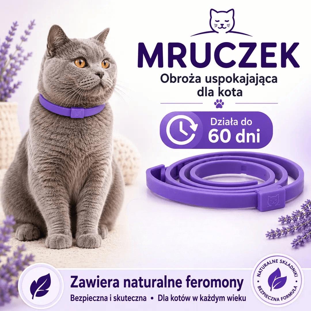 Mruczek – obroża uspokajająca dla kota